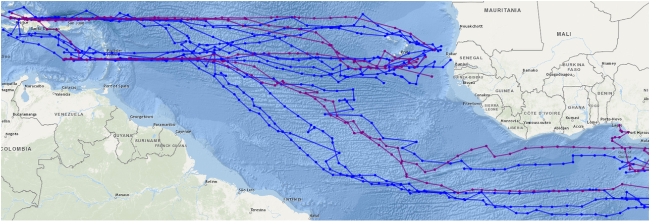 Deux voies possibles pour rejoindre les Antilles françaises